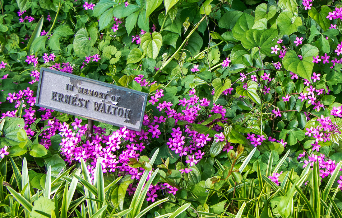 Ernest Walton Memorial